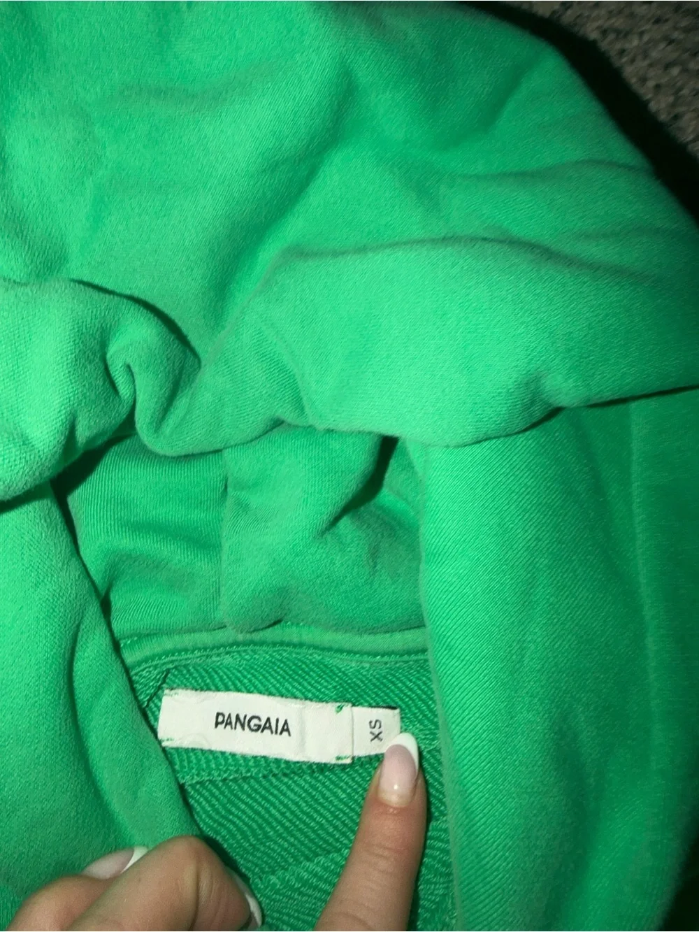 Pangaia Green Hooded Sweatshirt with Subtle Chest Print